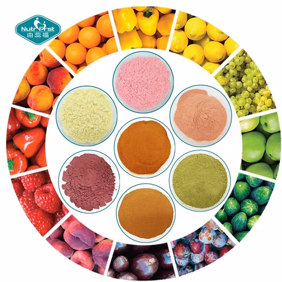 Frutas e legumes em pó misturado frutas secas suco misturado em pó bebida frutas orgânicas misturado em pó
