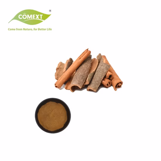 Extrato erval natural da planta da canela em pó de secagem por pulverização