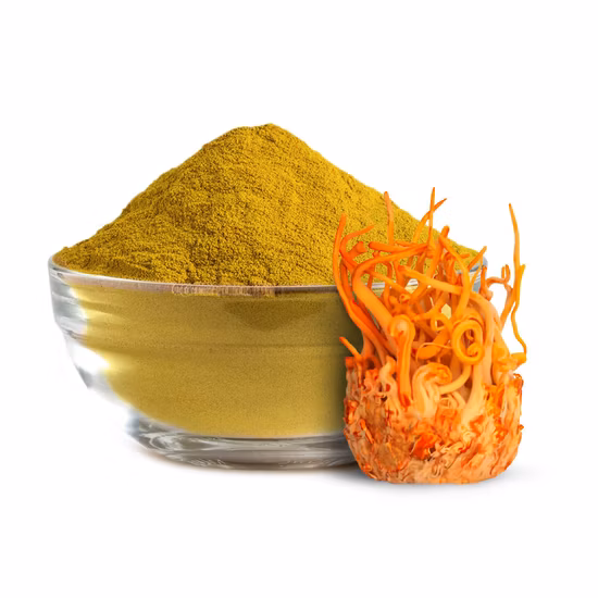 O extrato do corpo do fruto de Cordyceps Militaris/Cordyceps Sinensis pode ser personalizado
