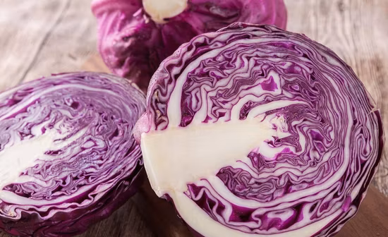 Extrato de repolho Extrato de ervas naturais Extrato de frutas vegetais em pó